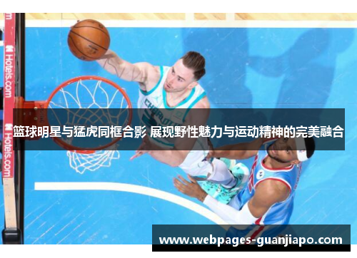 篮球明星与猛虎同框合影 展现野性魅力与运动精神的完美融合