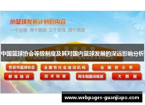 中国篮球协会等级制度及其对国内篮球发展的深远影响分析