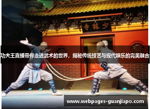 功夫王直播带你走进武术的世界，揭秘传统技艺与现代娱乐的完美融合